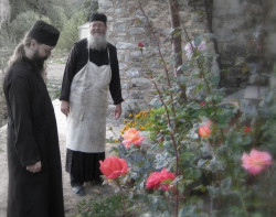 SANTO 
ΑΝΘΗ ΕΡΗΜΟΥ 
2007-12-21 19:34:11