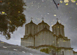 Saško 
U prirodi koja ga okružuje. 
2007-12-22 04:09:02