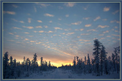 dprm 
Путь к солнцу 
2007-12-25 14:16:14