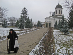 OvidiuMihail 
After Holy Liturgy at Zamfira Monastery 
2007-12-28 21:37:35