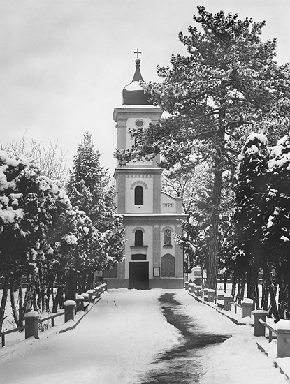 Под снегом