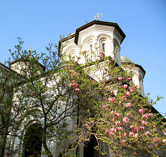 Spring at Radu Voda
