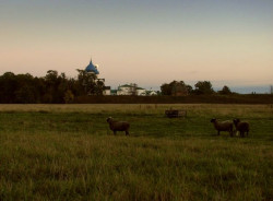 zakgil 
Suzdal, sept. 2007 
2008-01-02 21:35:09