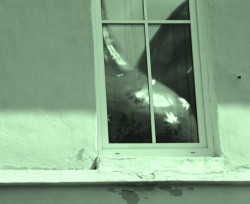 SerChib 
В Троице-Сергиевой Лавре 
2008-01-05 19:03:58