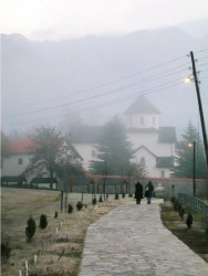 gornjak 
Морача -раном зором 
2008-01-10 19:36:58