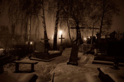 pieuczy 
Wigilijny spokój… 
2008-01-10 22:31:04