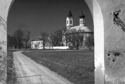 Slobodan 
Манасир Фенек 
2008-01-10 23:23:12