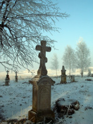 Włodzimierz 
 
2008-01-11 11:27:14