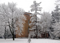 mmm 
Зима в София 
2008-01-12 21:00:20