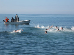 Arsenije 
Богојављенско пливање за Часни Крст 
2008-01-19 23:13:58