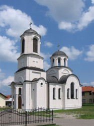 Zoran Sremski 
Главичице - Glavichice 
2008-01-22 23:43:41