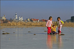 ovidiu_m 
 
221 
2008-01-28 21:40:49