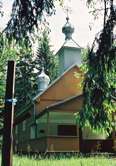 W puszczy