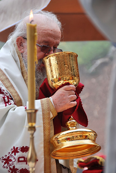 Владика Артемије