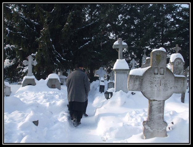 In cimitirul Manastirii Cernica...