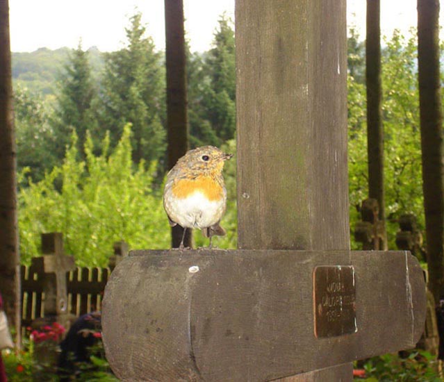 În cimitirul Sihăstriei Neamţului