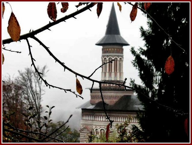 Printre picaturi...