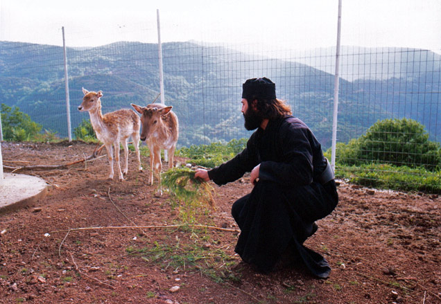 Monastery of Saint Augustine and Saint Seraphim of Sarov in Greece.