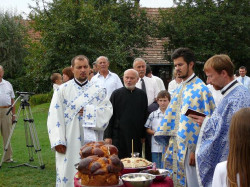 asolyom 
Slava u Kovinu 
2008-02-05 10:59:14