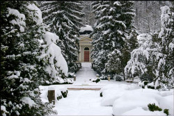 Isa 
Парк манастира Беочин 
2008-02-05 21:45:36