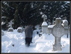 Marius 
In cimitirul Manastirii Cernica... 
2008-02-07 14:00:34