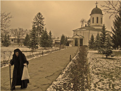 OvidiuMihail 
After Holy Liturgy at Zamfira Monastery 
2008-02-10 19:20:12
