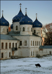 WiseMouse 
Господин Великий Новгород. -- Novgorod the Great.#9 
2008-02-14 22:48:05