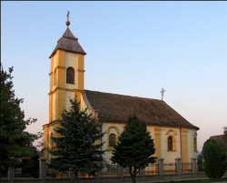 Zoran Sremski 
Вишњићево - Vishnjicevo 
2008-02-15 00:09:23