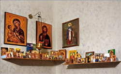 Tanjica 
 
2008-02-21 01:13:23
