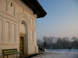 mihaela 
+ Peace/Pace + 
2008-02-22 12:22:36