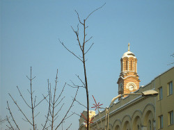 rasonna 
вријеме  /  time 
2008-02-29 12:50:03