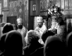 Onesto 
Трое 
2008-02-29 20:04:11