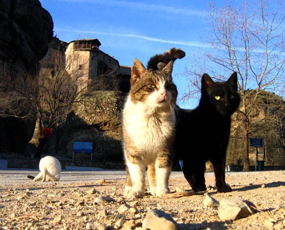 Good Morning On Meteora