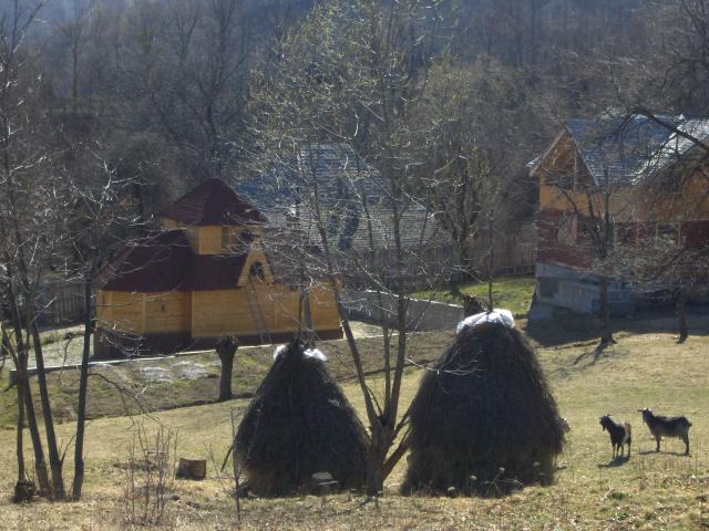 Schitul Bradetu, Arges