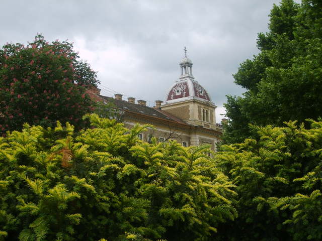 Facultatea de Teologie Ortodoxa, Cluj-Napoca