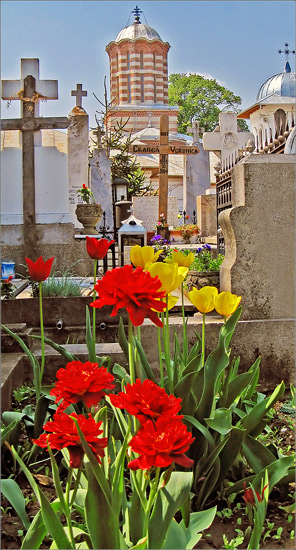 +  spring +