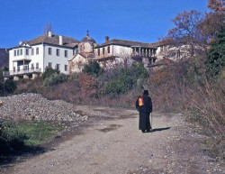 thiv_col_Athos 
Αγιορείτης οδοιπόρος - On the road on Athos 
2008-03-01 13:33:27
