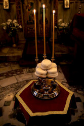 vpopovic 
Петохлебница 
2008-03-04 09:45:42