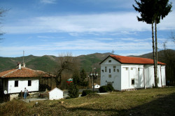 Anima_Mea 
 
2008-03-09 13:08:26