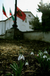 Anima_Mea 
 
2008-03-12 17:47:29