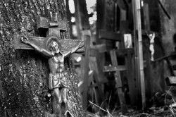 aliszja 
† 
2008-03-17 16:47:37