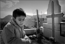 ovidiu_m 
memorial 
2008-03-23 17:28:04