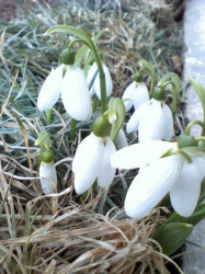 raluca_mihaela 
ghiocei 
2008-03-27 13:59:15