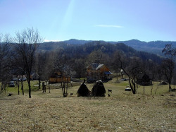 Florina 
Schitul Bradetu, Arges- peisaj, zona, raza de soare 
2008-03-31 19:13:02