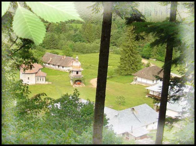 în inima Tarcăului