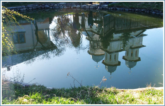 Reflexie ... / Reflection ...