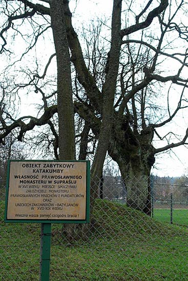 Supraśl, Katakumby