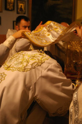 marcin__c 
bp Jerzy 
2008-04-05 11:48:55