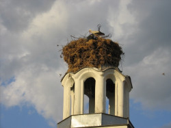 J_kross 
Кръстът крепи гнездото (The Cross is holding the nest) 
2008-04-06 21:13:16