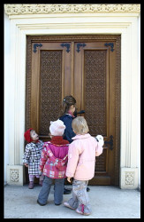 codre 
 Doors of Paradise - Portile Raiului 
2008-04-07 12:24:45